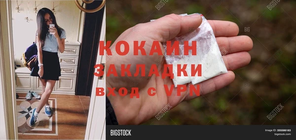 твердый Алексин