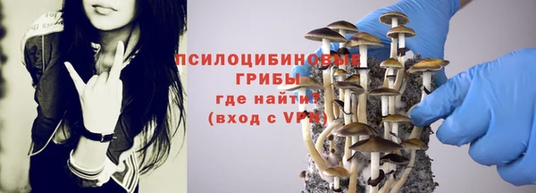 мескалин Алзамай