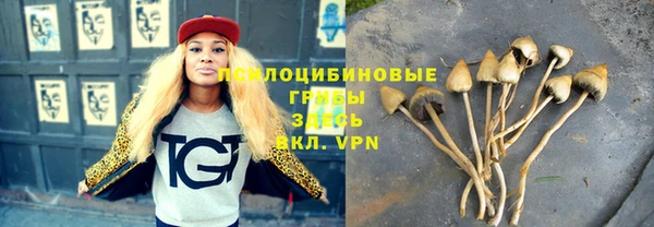 стаф Алексеевка