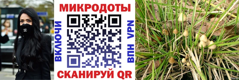 как найти   Лаишево  Галлюциногенные грибы прущие грибы 